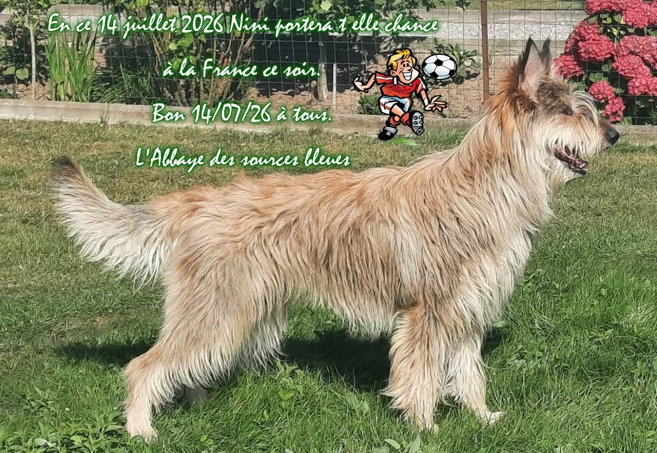 BON 14 jUILLET 2026 A TOUS