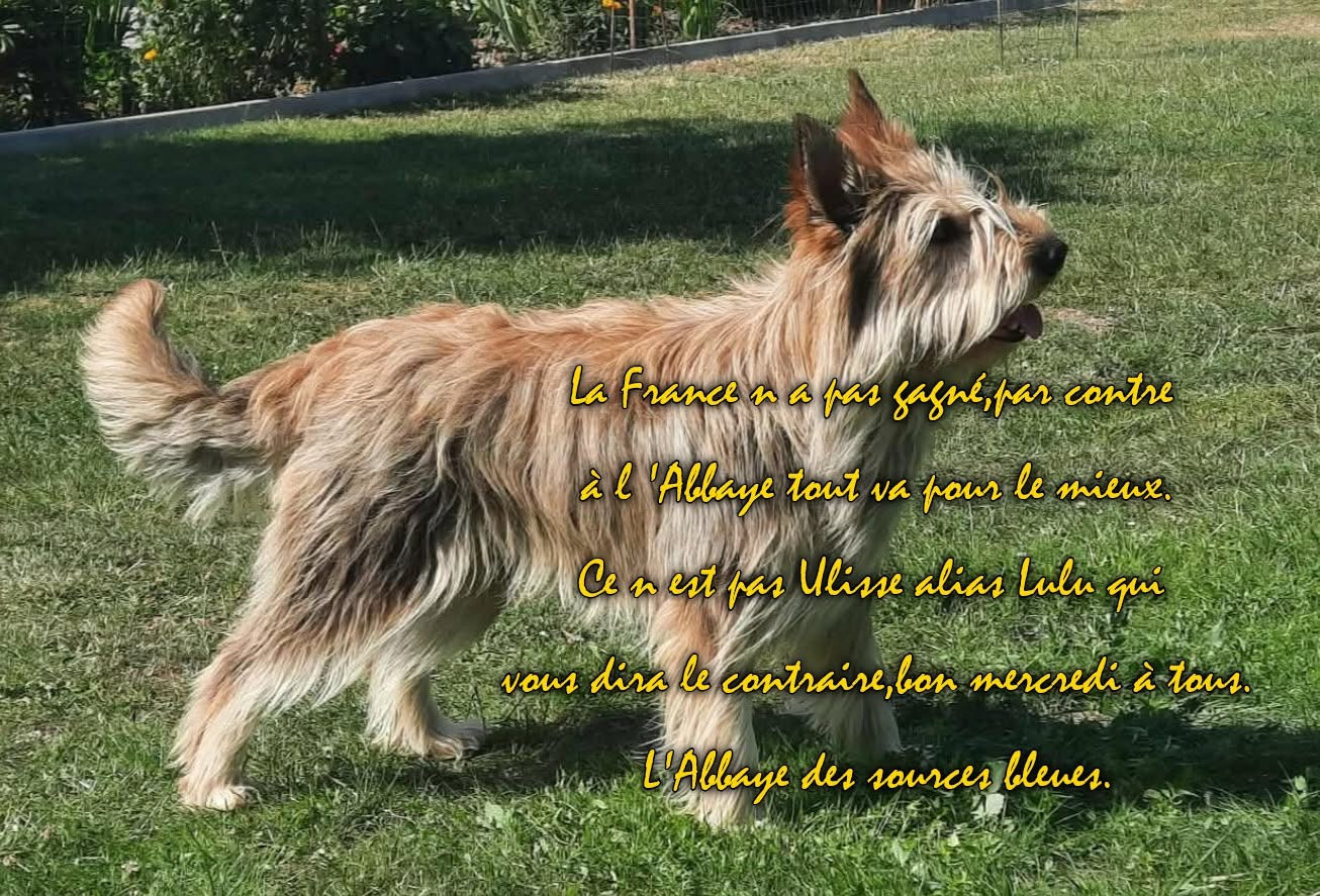 ULISSE ALIAS LULU