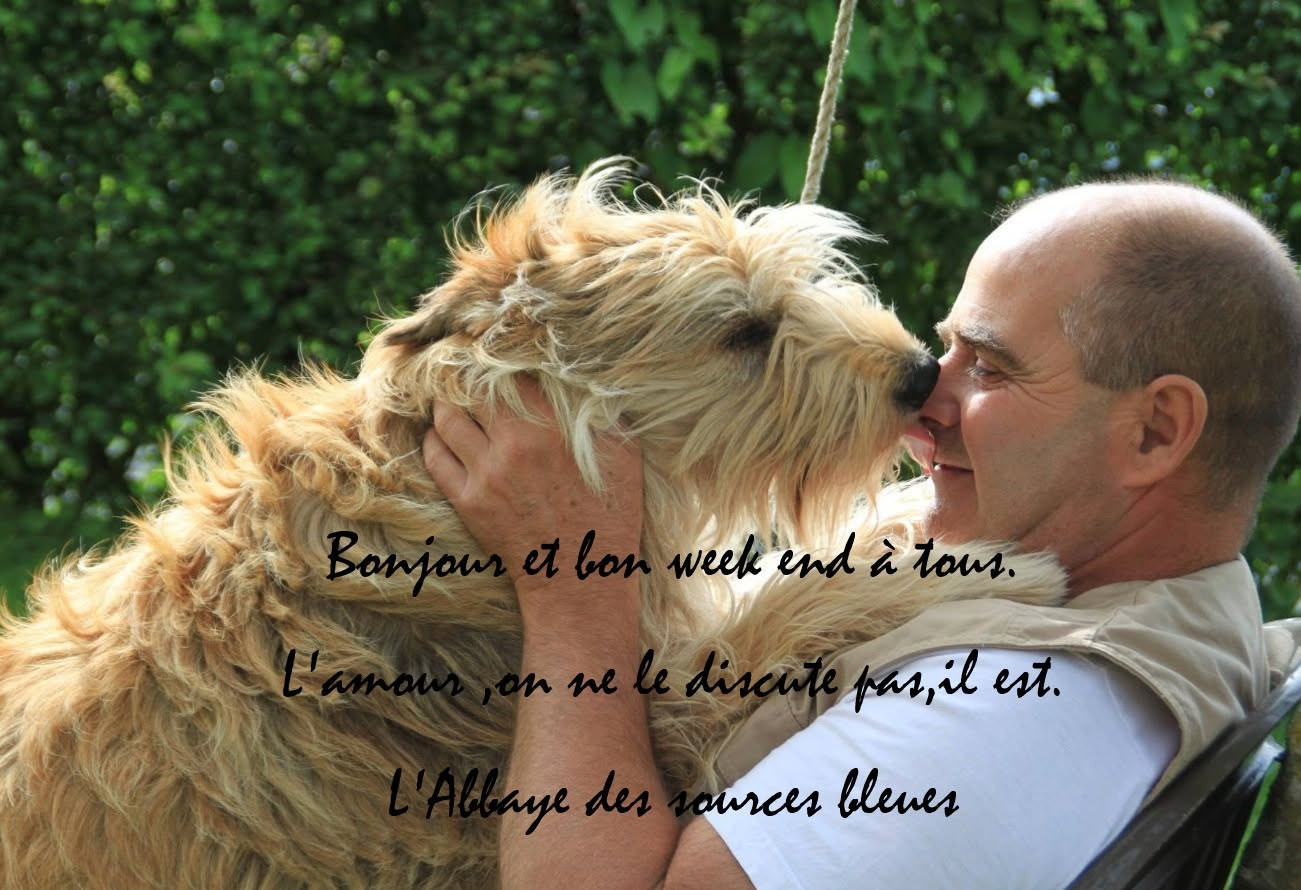 De L'abbaye Des Sources Bleues - L'AMOUR DU BERGER PICARD