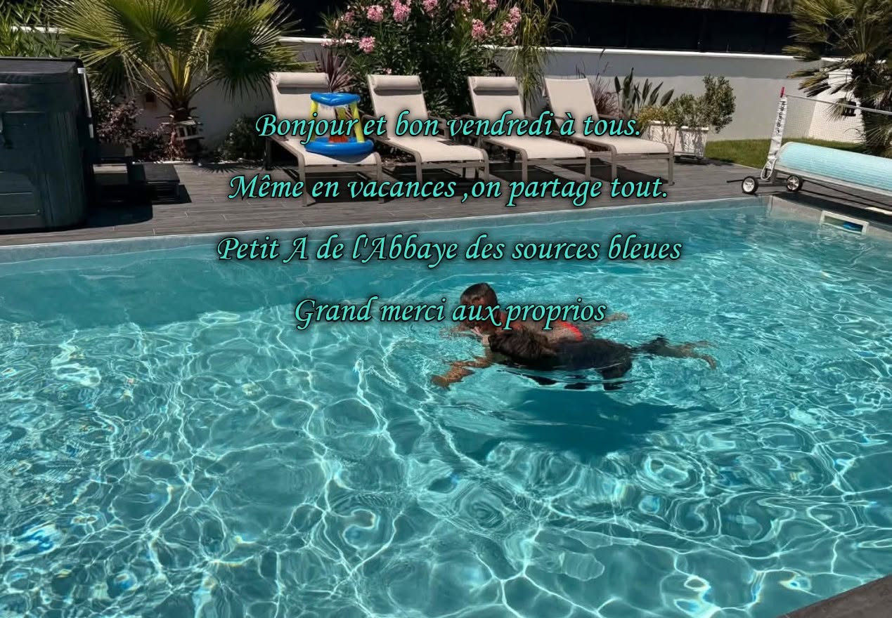 De L'abbaye Des Sources Bleues - LES VACANCES SONT POUR TOUS NON A L'ABANDON