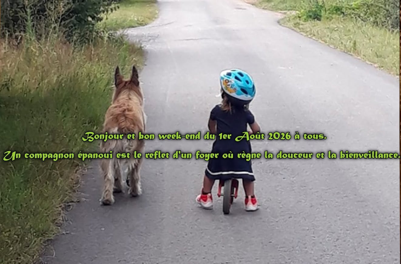 UN EXCELLENT WEEK END A TOUS.