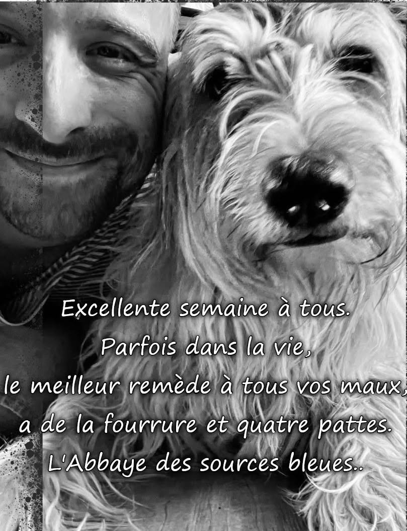DE L AMOUR TOUT PLEIN.