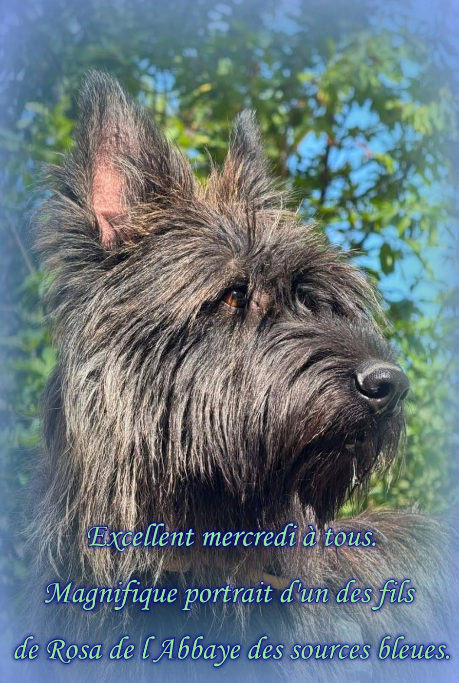 De L'abbaye Des Sources Bleues - QUEL REGARD .