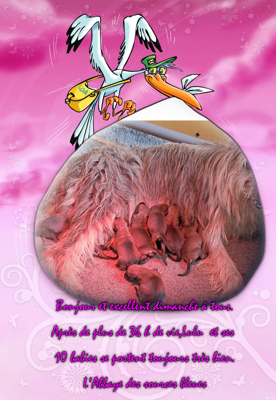 LULU EST UNE MAMAN EXTRAMIDABLE