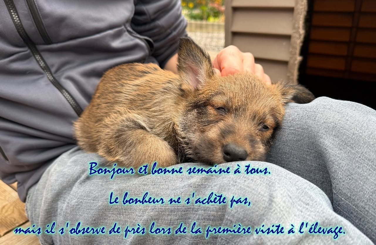 LA VISITE TANT ATTENDUE