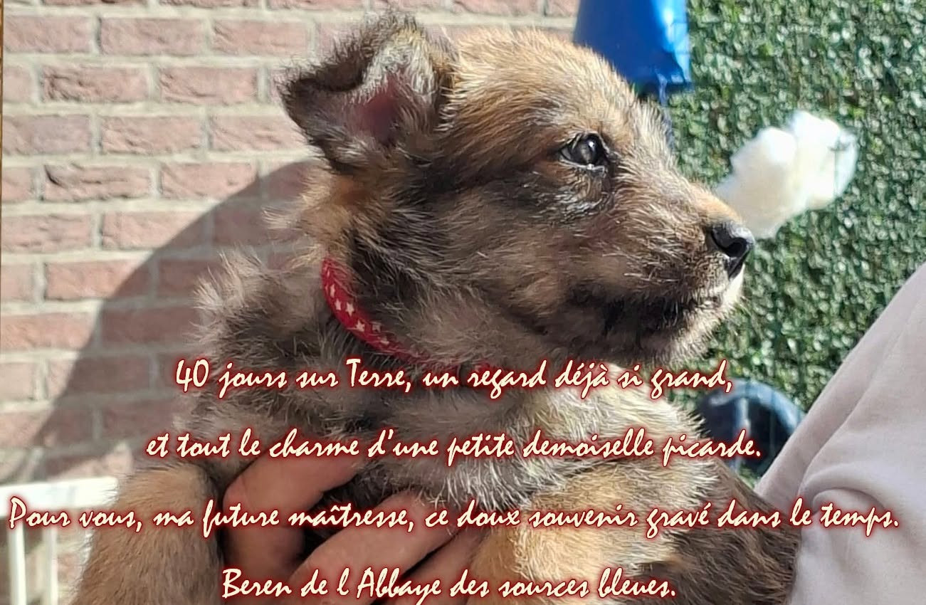1er OCTOBRE 2026