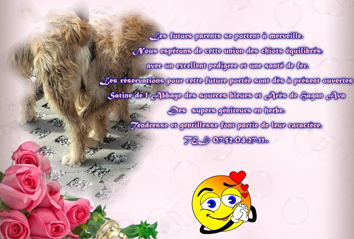 PORTEE PROCHAINE