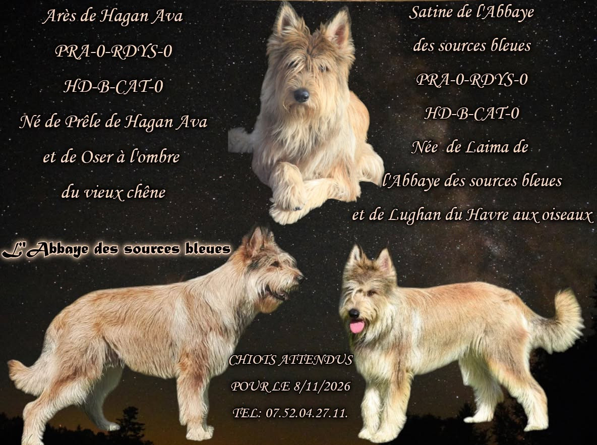CONFIRMATION DE GESTATION