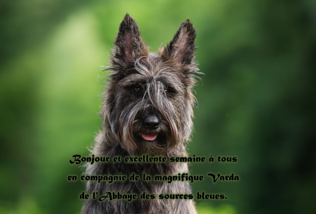BONNE SEMAINE A TOUS
