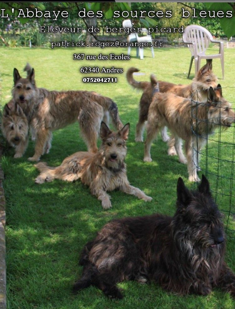 NOTRE TRIBU