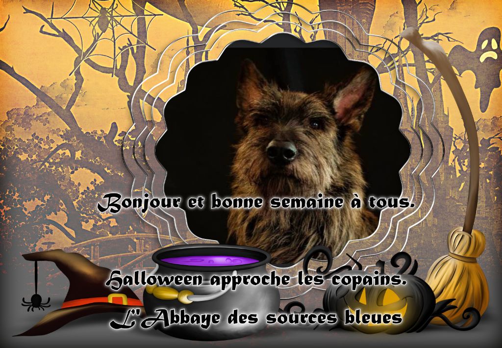 EXCELLENTE SEMAINE A TOUS.