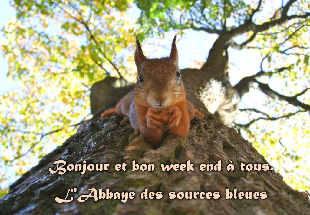 De L'abbaye Des Sources Bleues - EXCELLENT SAMEDI A TOUS
