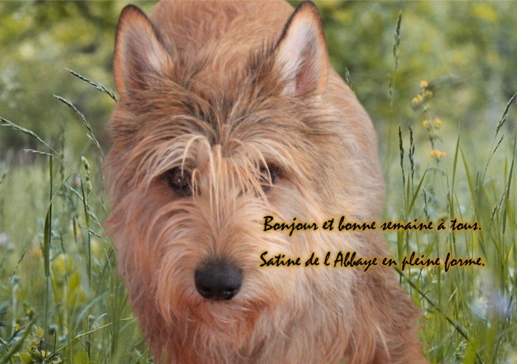 De L'abbaye Des Sources Bleues - EXCELLENTE SEMAINE A TOUS