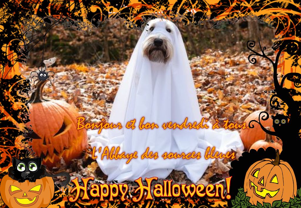 De L'abbaye Des Sources Bleues - A L'ABBAYE ,ON N'AIME BIEN SE DEGUISER.