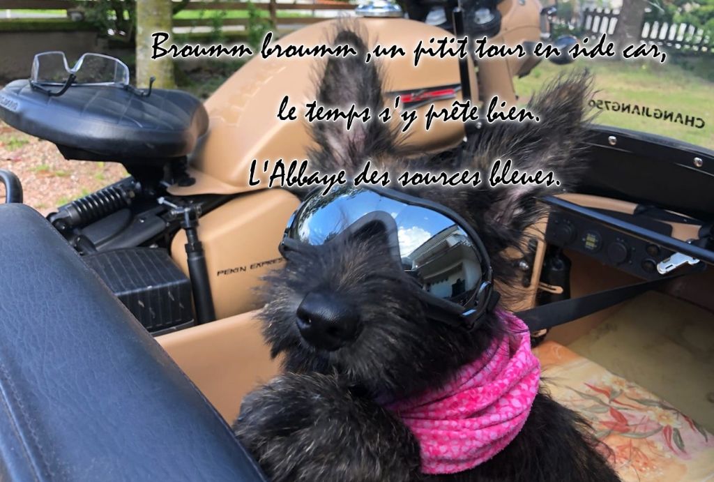 VROUMM VROUMM EN ROUTE POUR UN PITIT TOUR