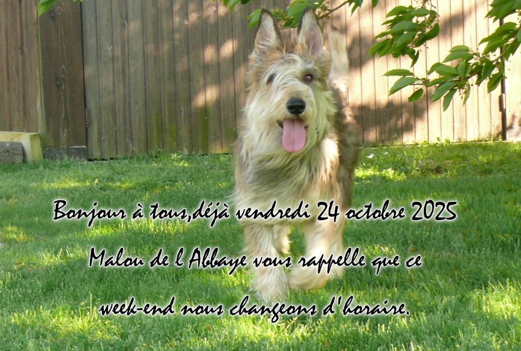 MALOU DE L'ABBAYE DES SOURCES BLEUES