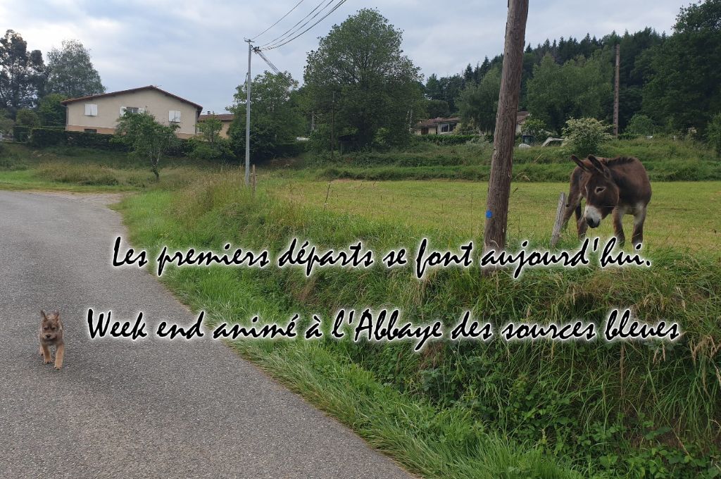 LES PREMIERS DEPARTS COMMENCENT AUJOURD'HUI.