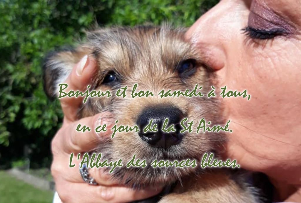 AH L'AMOUR
