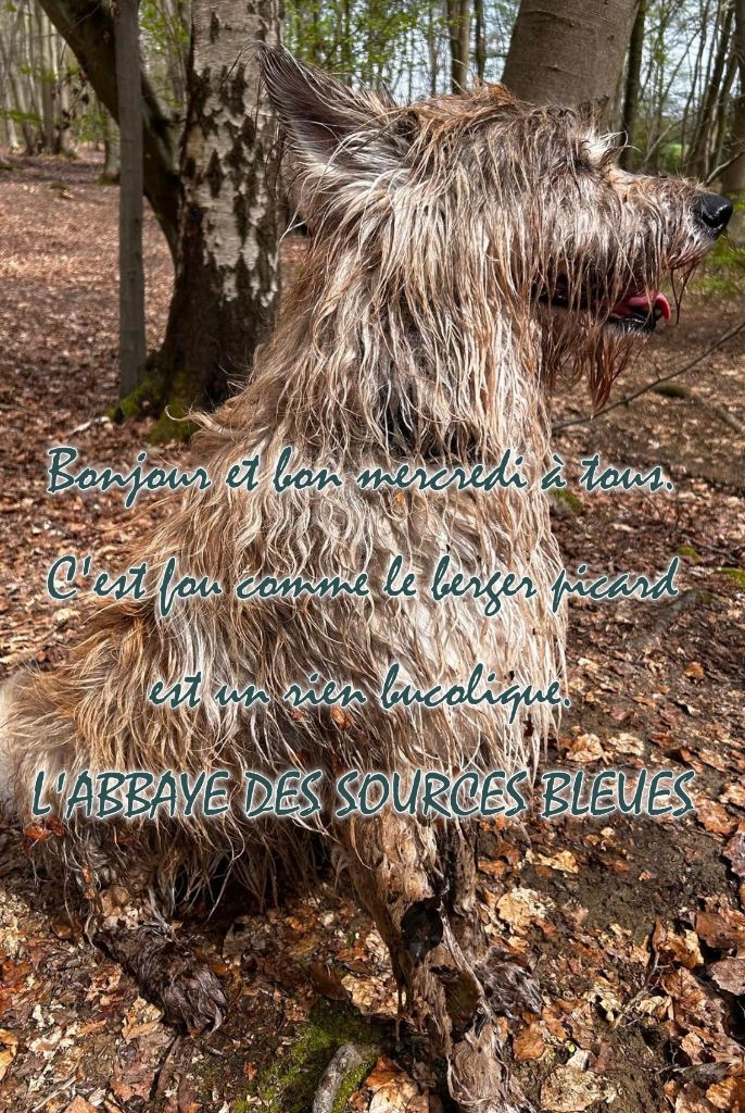 JOUR DES ENFANTS MAIS PAS QUE !!!!!