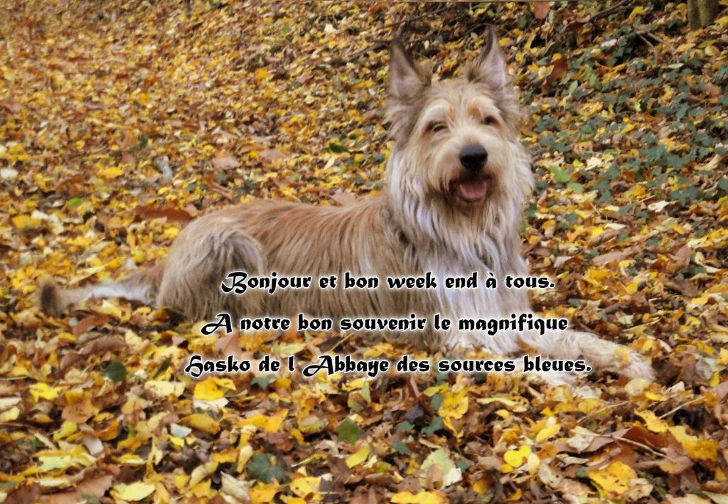 SOUVENIR IMPERISSABLE