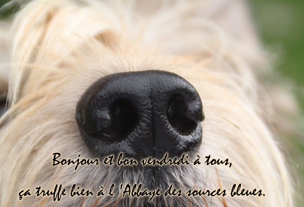 EXCELLENT WEEK END A TOUS.