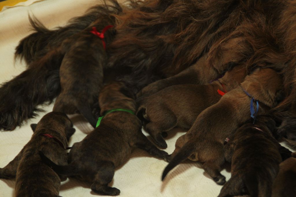 EXCELLENTE SEMAINE A TOUS