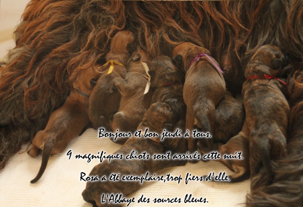 ILS SONT ARRIVES CETTE NUIT